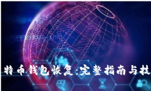 莱特币钱包恢复:完整指南与技巧