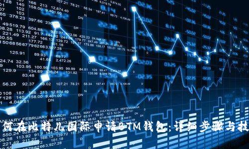 如何在比特儿国际申请BTM钱包：详细步骤与技巧