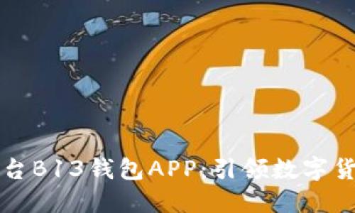 虚拟币交易平台B13钱包APP:引领数字货币投资新潮流
