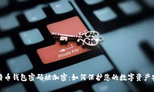 比特币钱包密码被加密:如何保护您的数字资产安全