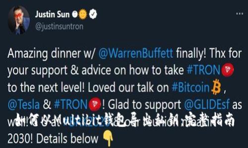 如何从Multibit钱包导出私钥:完整指南