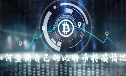 如何查询自己的比特币持有情况?
