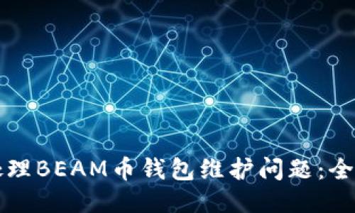 如何处理BEAM币钱包维护问题：全面指南
