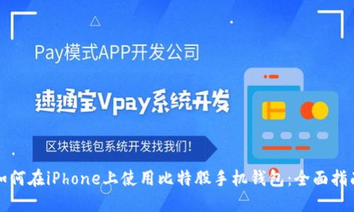 如何在iPhone上使用比特股手机钱包:全面指南