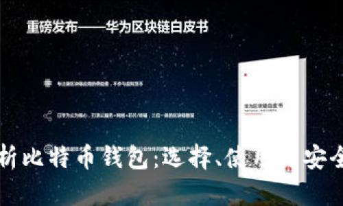 全面解析比特币钱包：选择、使用与安全性指南