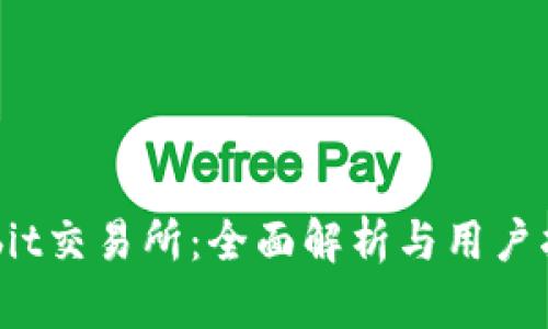 Bybit交易所:全面解析与用户指南