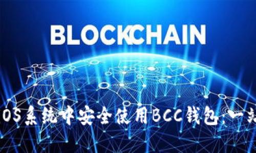 如何在iOS系统中安全使用BCC钱包:一站式指南