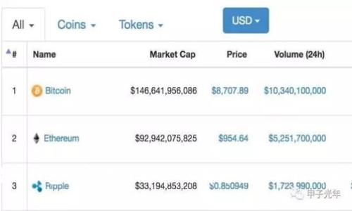 比特币钱包的通用性解析:选择适合你的比特币钱包