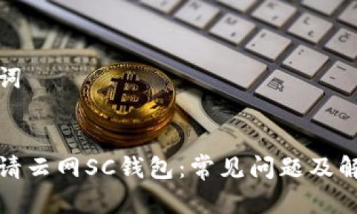 和关键词
如何申请云网SC钱包:常见问题及解决方案