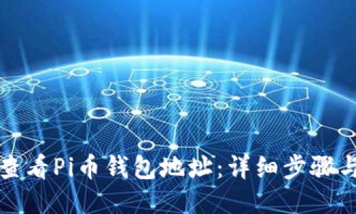 如何查看Pi币钱包地址:详细步骤与技巧