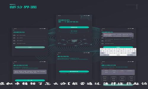 虚拟币转错了怎么办?能否通过法律途径起诉?