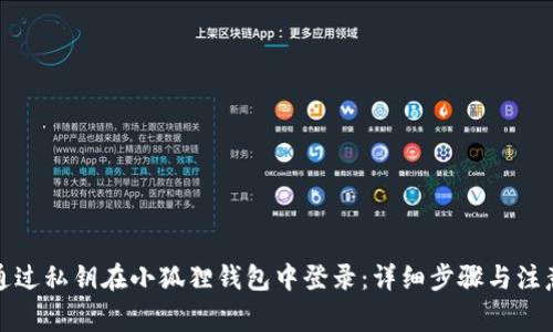 如何通过私钥在小狐狸钱包中登录:详细步骤与注意事项
