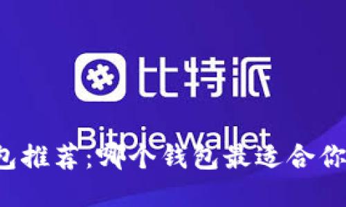比特钱包推荐:哪个钱包最适合你的需求?