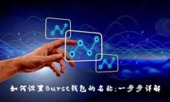 如何设置Burst钱包的名称：一步步详解