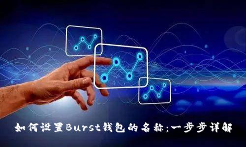 如何设置Burst钱包的名称:一步步详解