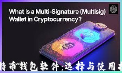 比特币钱包软件:选择与使用指南