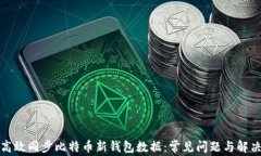 如何高效同步比特币新钱包数据：常见问题与解