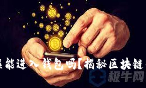 助记词错误能进入钱包吗?揭秘区块链钱包的秘密