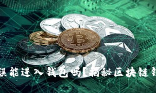 助记词错误能进入钱包吗?揭秘区块链钱包的秘密